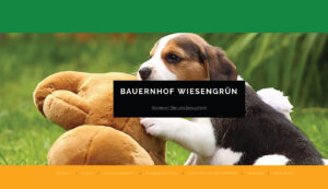 Read more about the article Webseite Beispiel